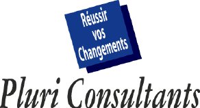 Pluri Consultants - boutique de consultanta si management al capitalului uman